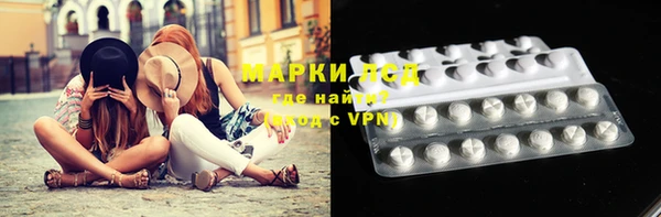 ГАЛЛЮЦИНОГЕННЫЕ ГРИБЫ Абаза