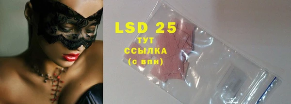 ГАЛЛЮЦИНОГЕННЫЕ ГРИБЫ Абаза