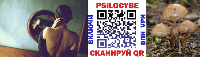 Галлюциногенные грибы Psilocybine cubensis Шилка